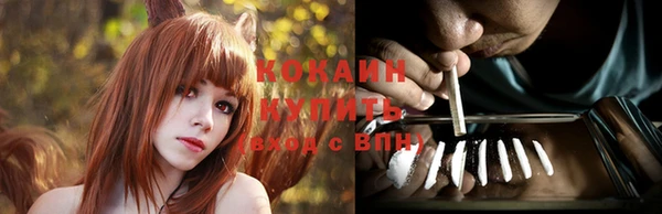 мет Кизел